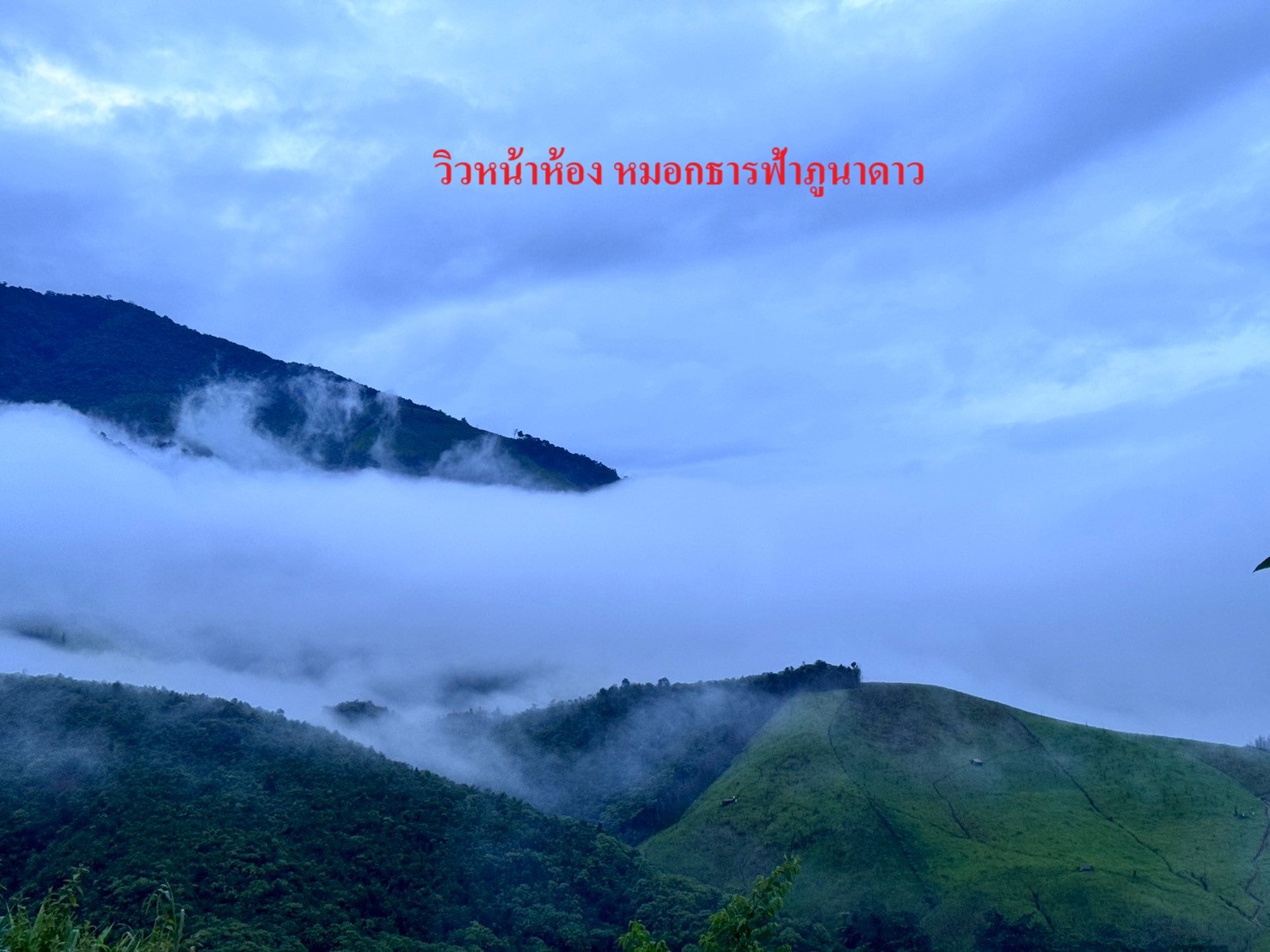 test test